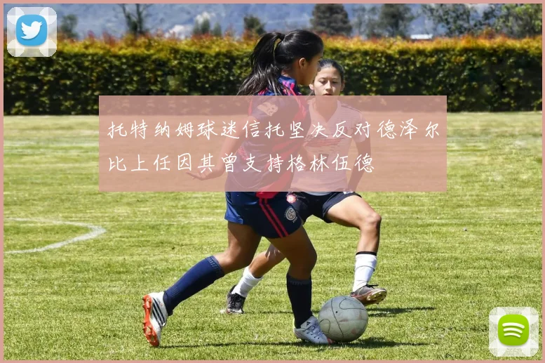 托特纳姆球迷信托坚决反对德泽尔比上任因其曾支持格林伍德